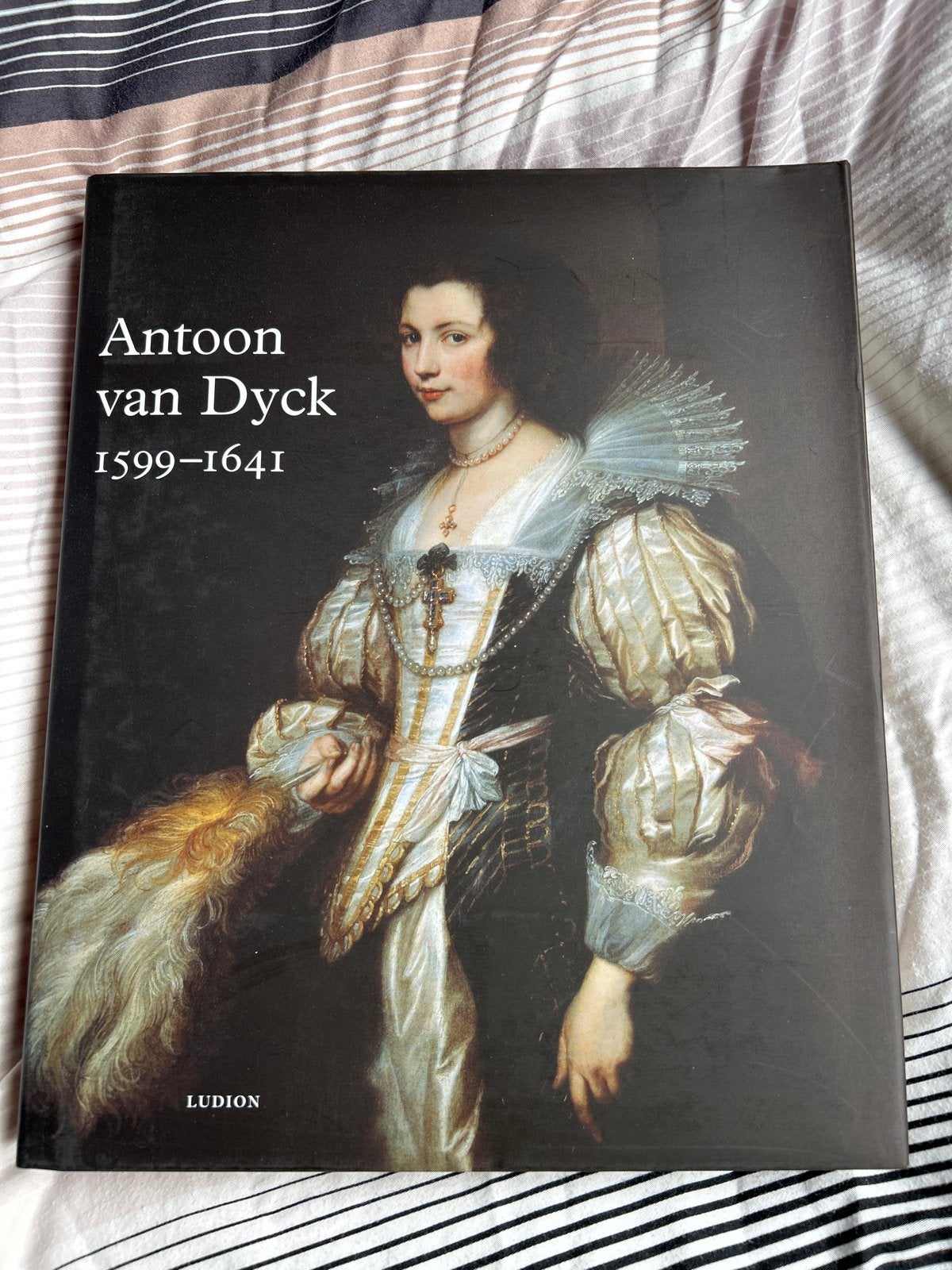 Antoon van Dyck 1599-1641 kunstboek, Ophalen of Verzenden, Zo goed als nieuw, Schilder- en Tekenkunst