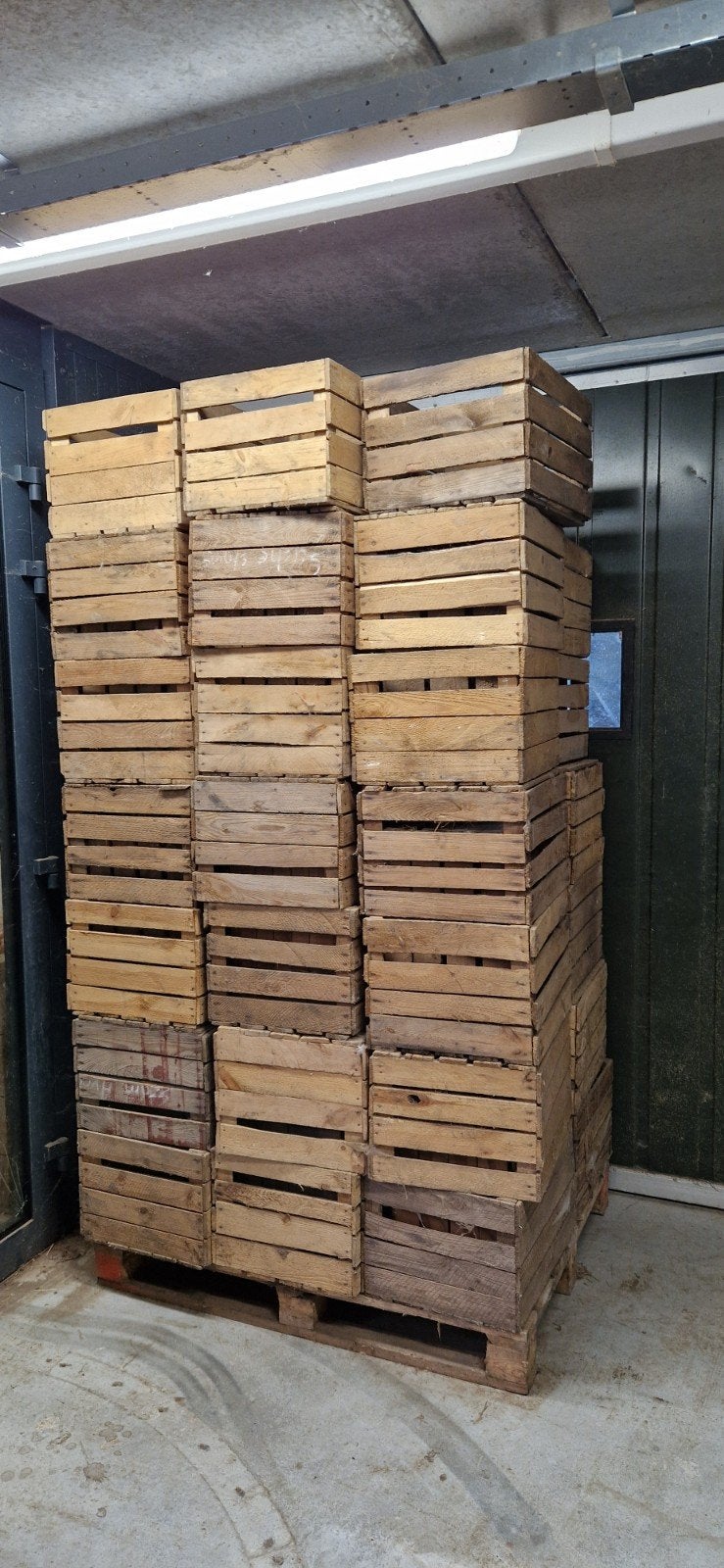 60x Fruitkisten op Pallet - L50xB40xH30cm, Ophalen of Verzenden, 100 tot 150 cm, Minder dan 50 cm, Minder dan 50 cm