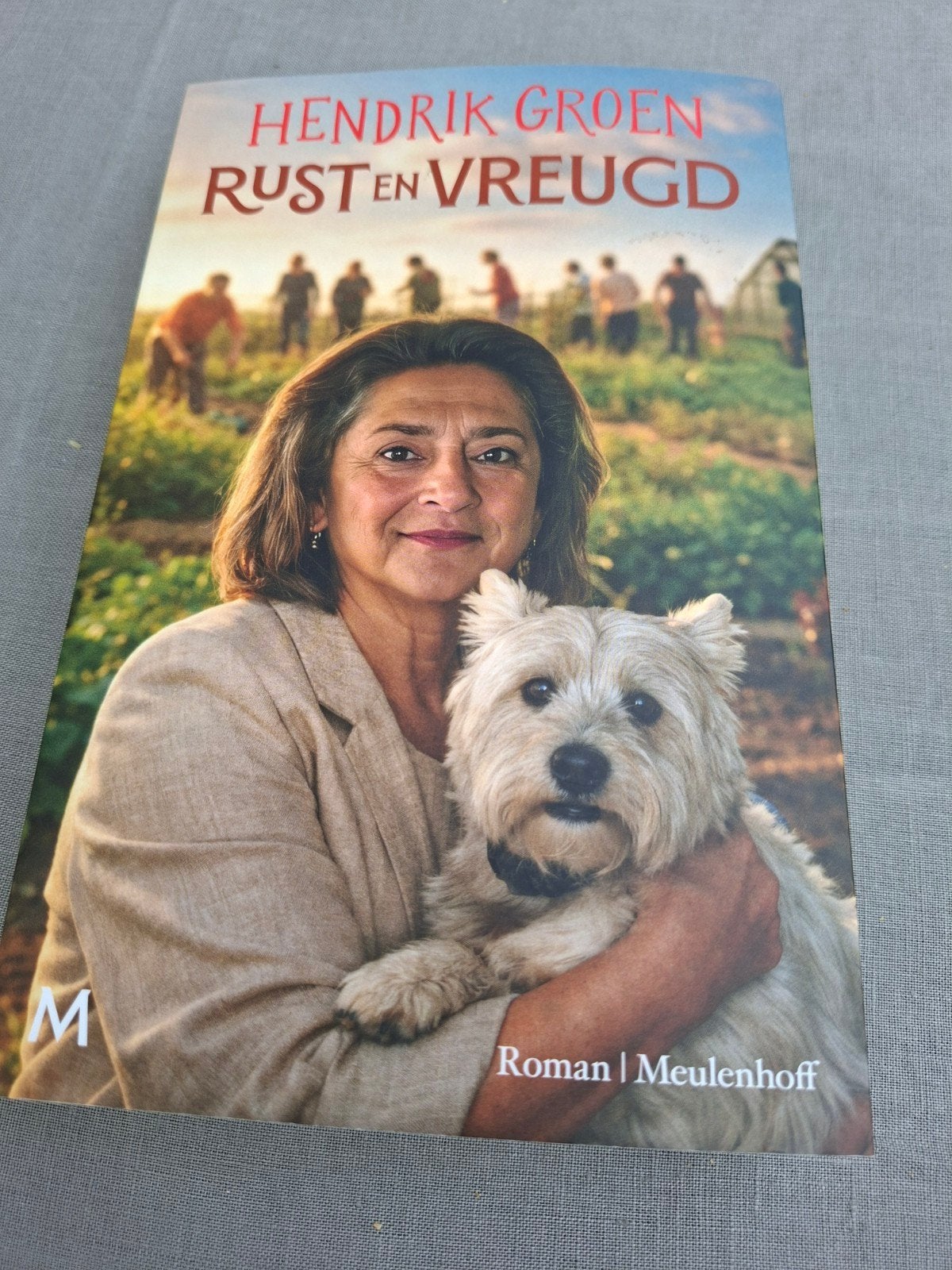 Rust en Vreugd - Hendrik Groen (Roman), Boeken, Romans, Zo goed als nieuw, Nederland, Ophalen of Verzenden