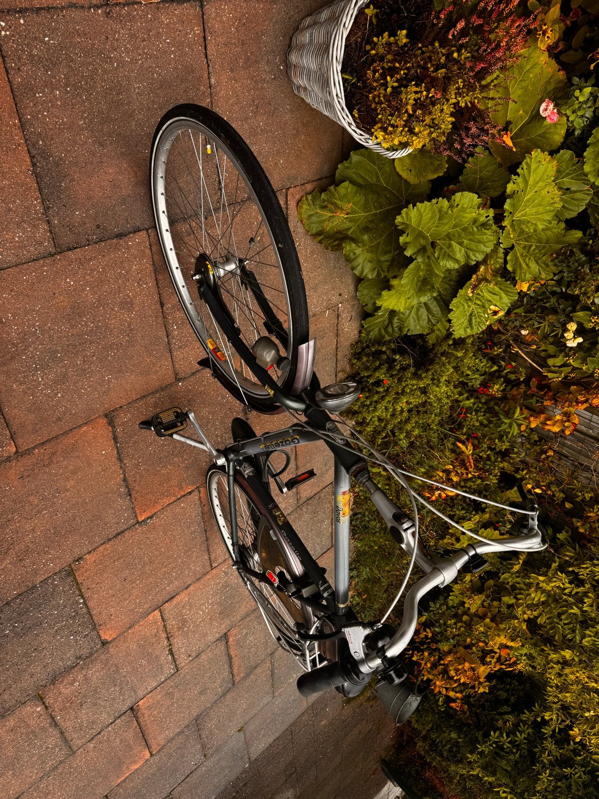 Gazelle Davos herenfiets, 61 cm, 7 versnellingen, Ophalen, Gebruikt, Versnellingen, 61 tot 65 cm