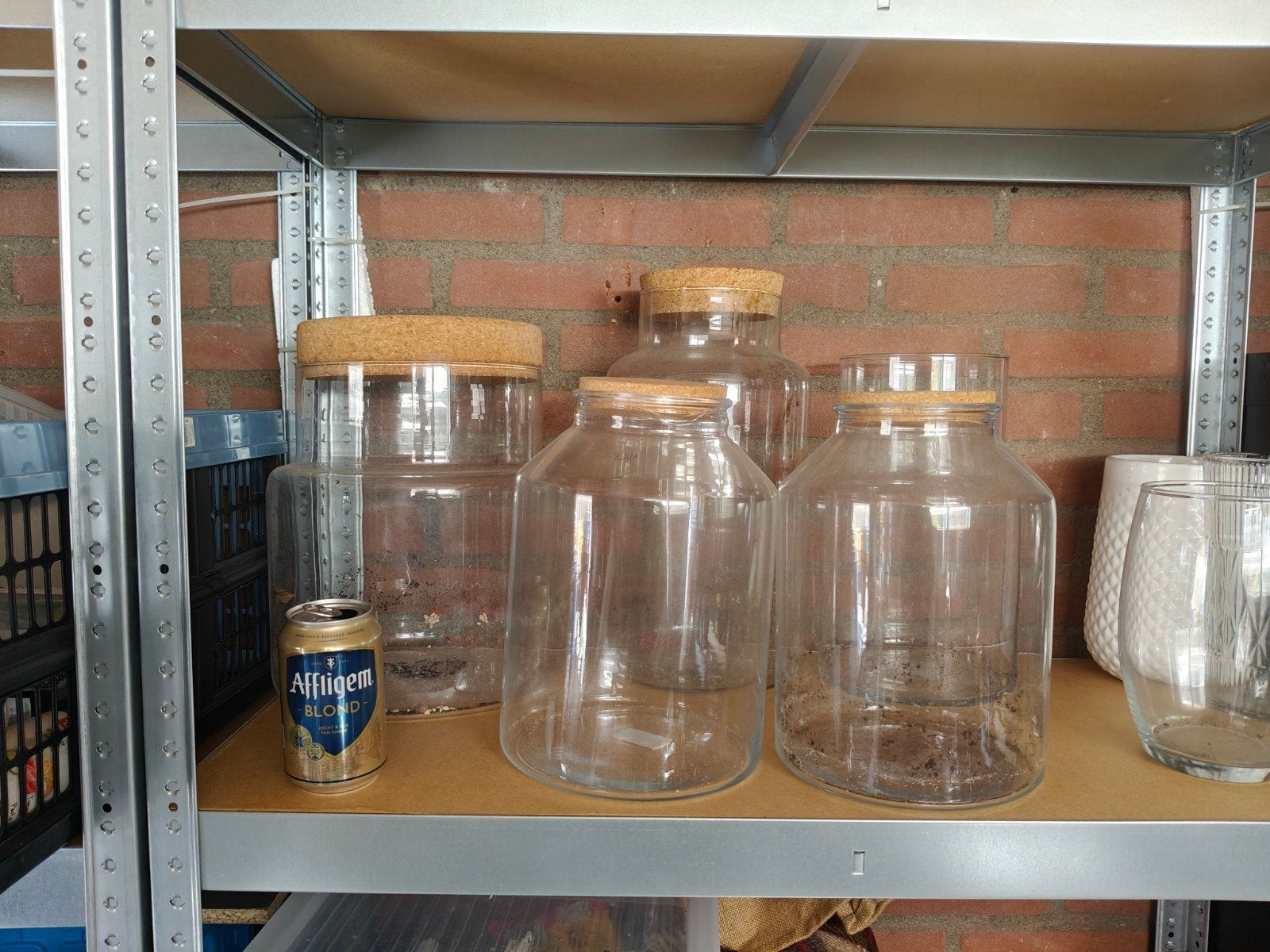 Grote glazen potten voor gesloten ecosysteem of decoratie, Ophalen, Gebruikt, Met deksel, Rond