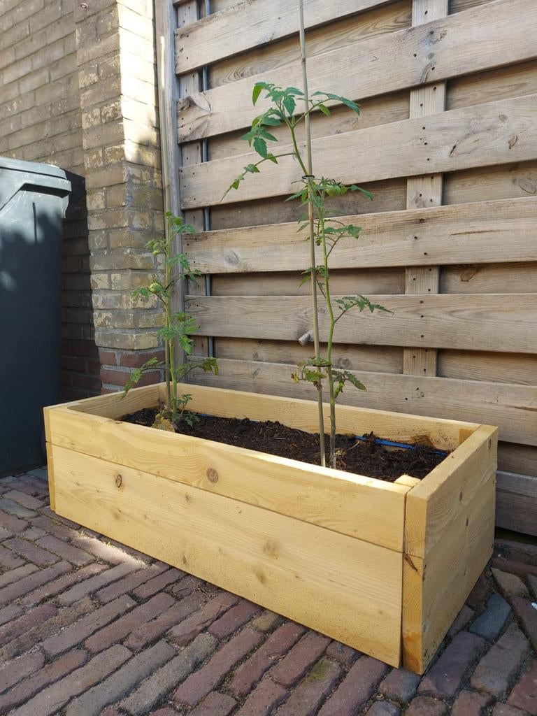 Steigerhouten moestuinbak / plantenbak - robuust en duurzaam, Gebruikt, 100 cm of meer, Ophalen of Verzenden, Balkon