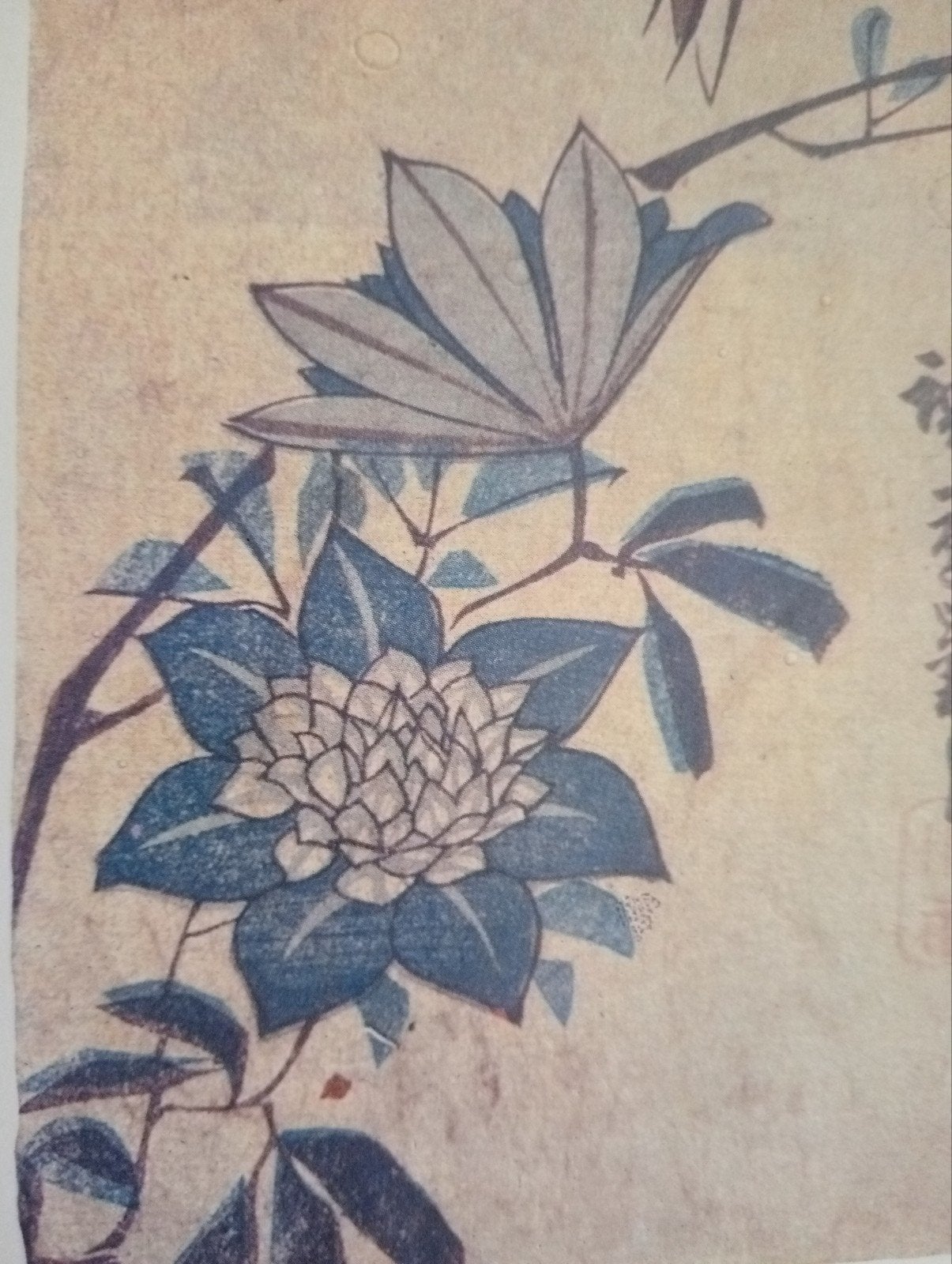 Vogel Japan offset prent 20e eeuw, Antiek en Kunst, Ophalen of Verzenden
