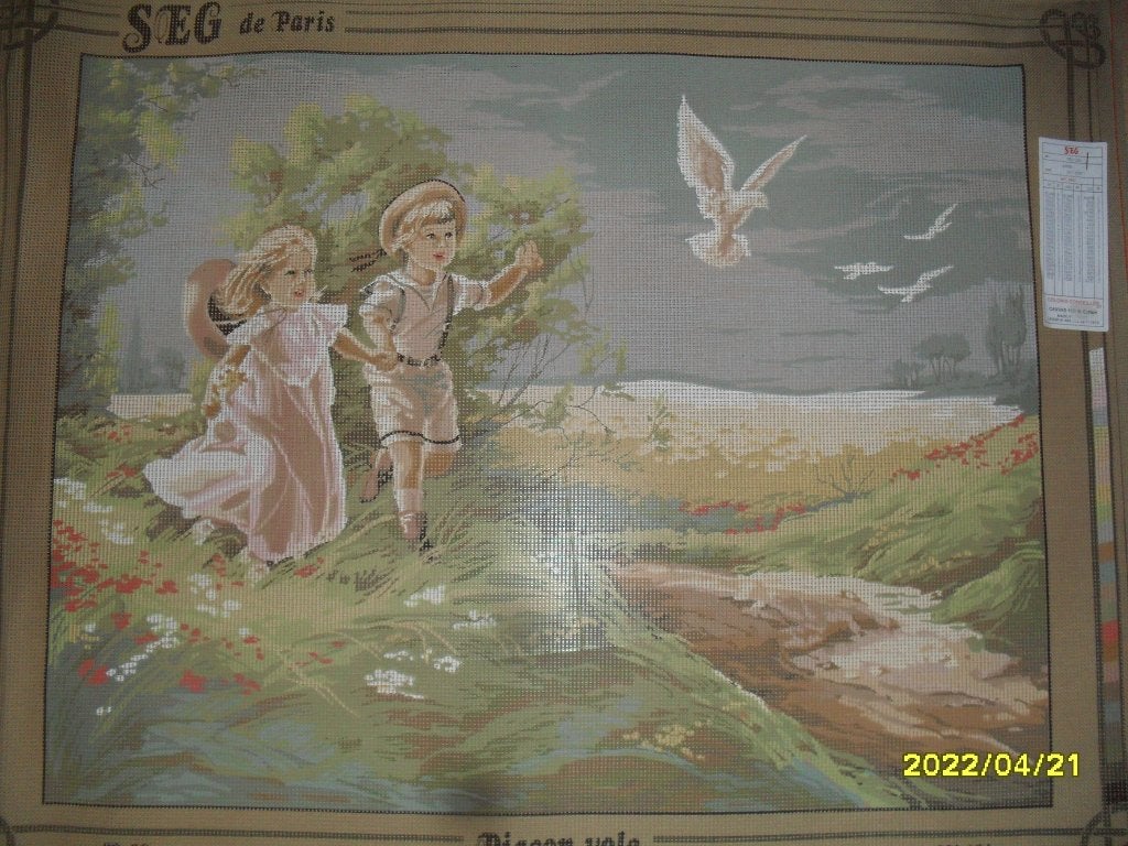 NIEUW stramien Pigeon Vole/Duiven - kinderen. En Verkoop DMC, Ophalen of Verzenden, Nieuw, Handborduren, Onderdeel of Toebehoren