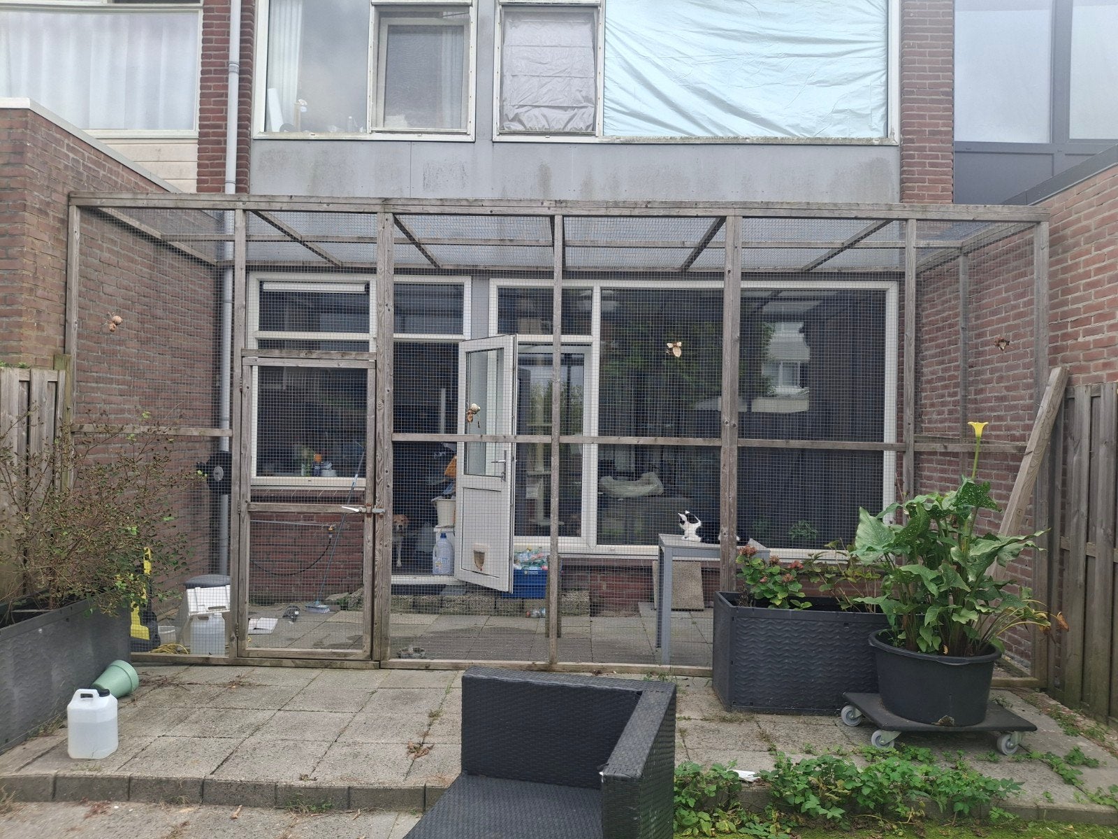 kattenren, Ophalen, Gebruikt, Hout