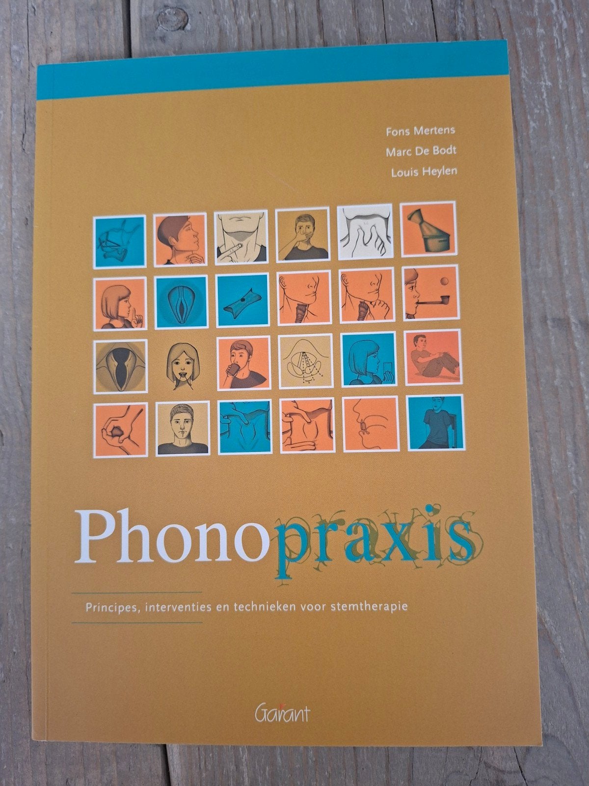 Phonopraxis: stemtherapie, Boeken, Ophalen of Verzenden, Zo goed als nieuw, HBO, Fons Mertens, Marc De Bodt, Louis Heylen