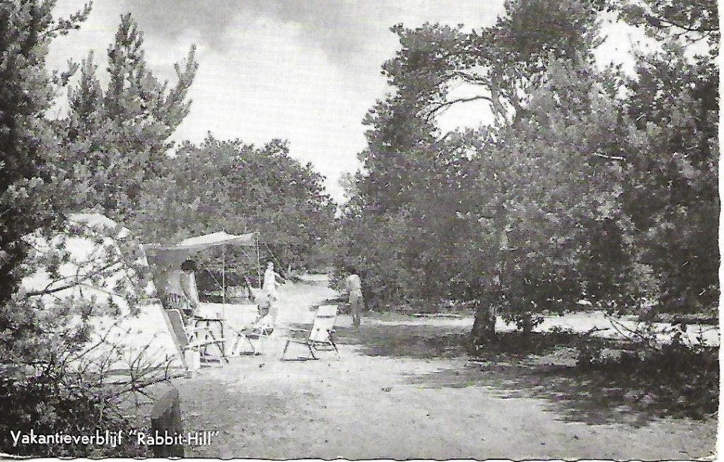 Nieuw Milligen- -Vakantieverblijf "Rabbit Hill"., Verzenden, 1960 tot 1980, Gelopen, Gelderland