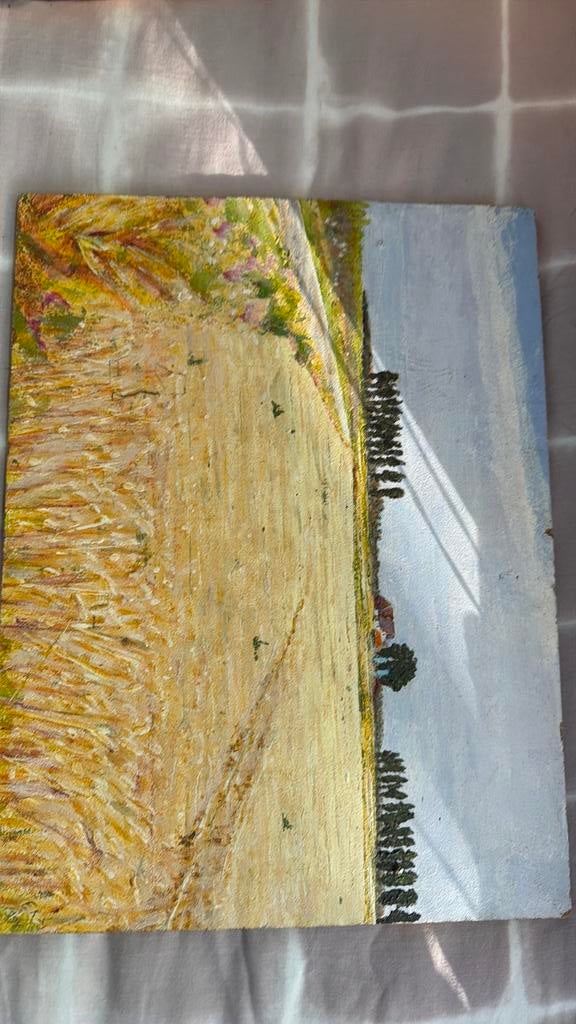 Prachtig schilderij landschap, Antiek en Kunst, Kunst | Schilderijen | Abstract, Ophalen of Verzenden