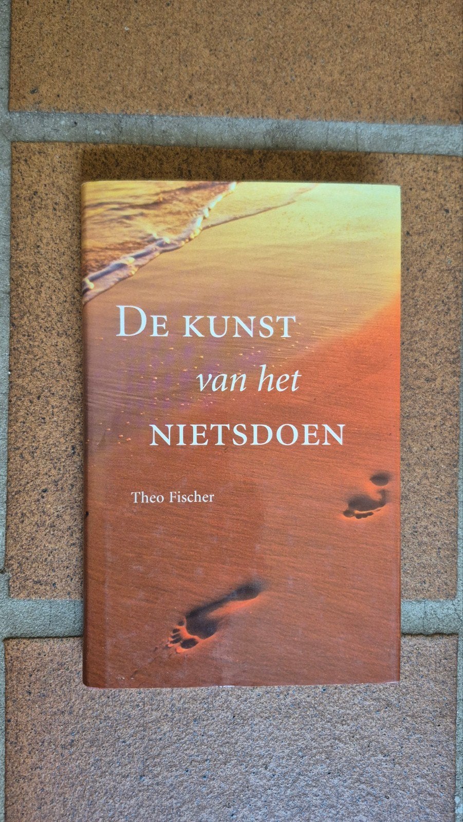 De Kunst van het Nietsdoen - Theo Fischer, Ophalen of Verzenden, Zo goed als nieuw, Theo Fischer, Nederland