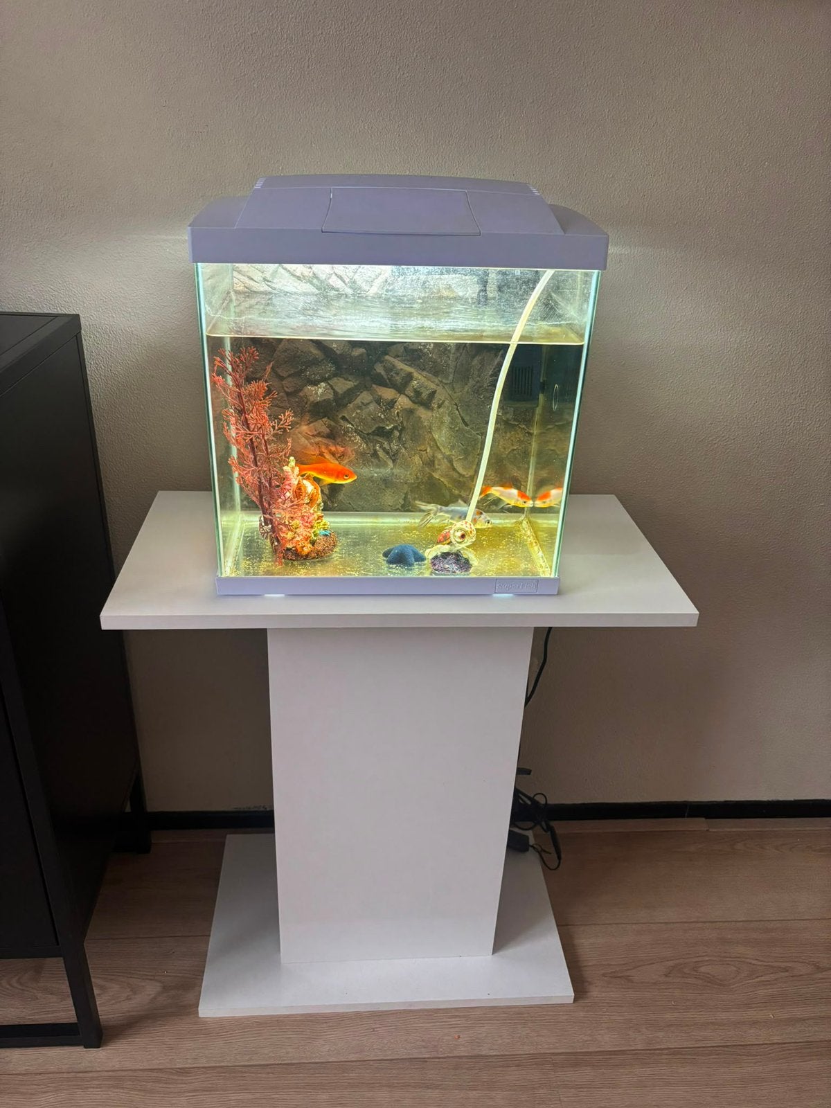 Aquarium, Dieren en Toebehoren, Ophalen, Zo goed als nieuw, Gevuld zoetwateraquarium