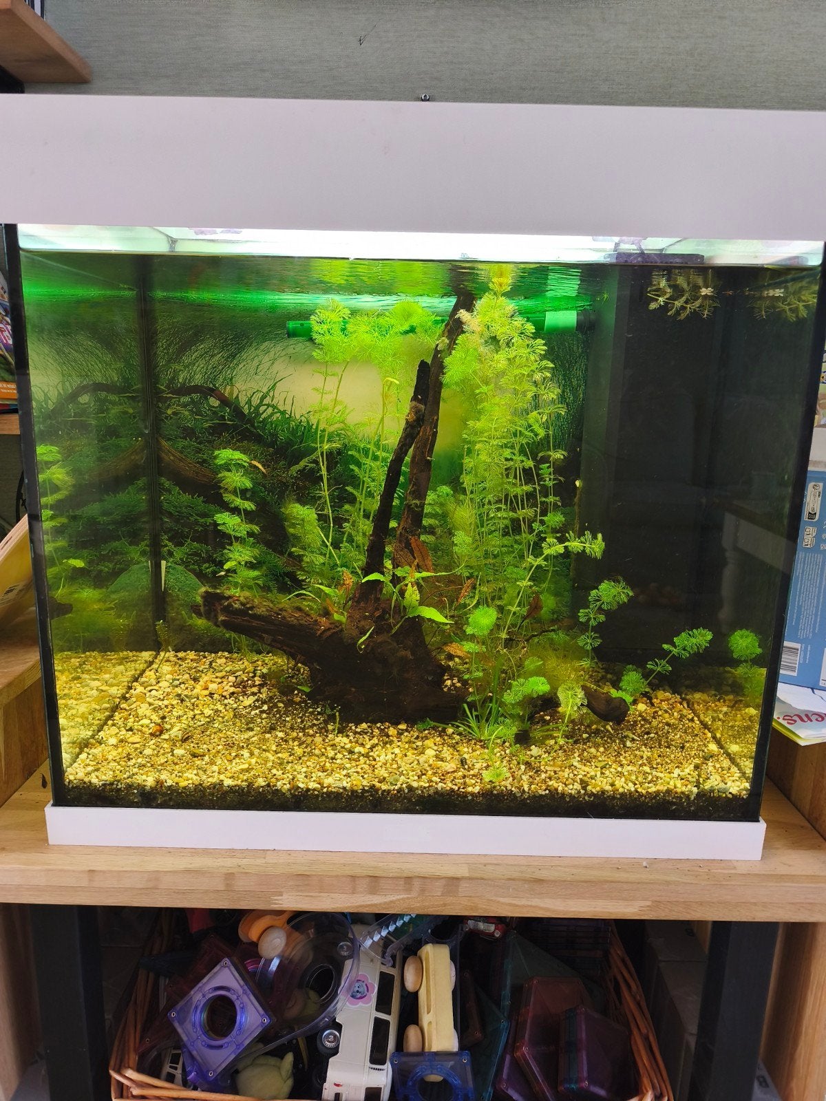 Juwel Lido 120, Ophalen, Gebruikt, Leeg aquarium, Verwarming