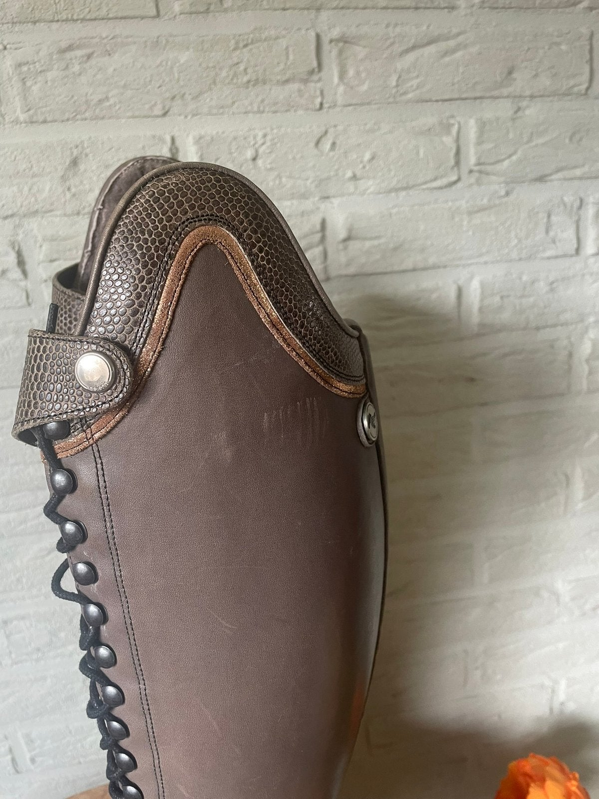 Celeris jodhpurs en chaps bontgevoerd 39, Ophalen of Verzenden, Zo goed als nieuw