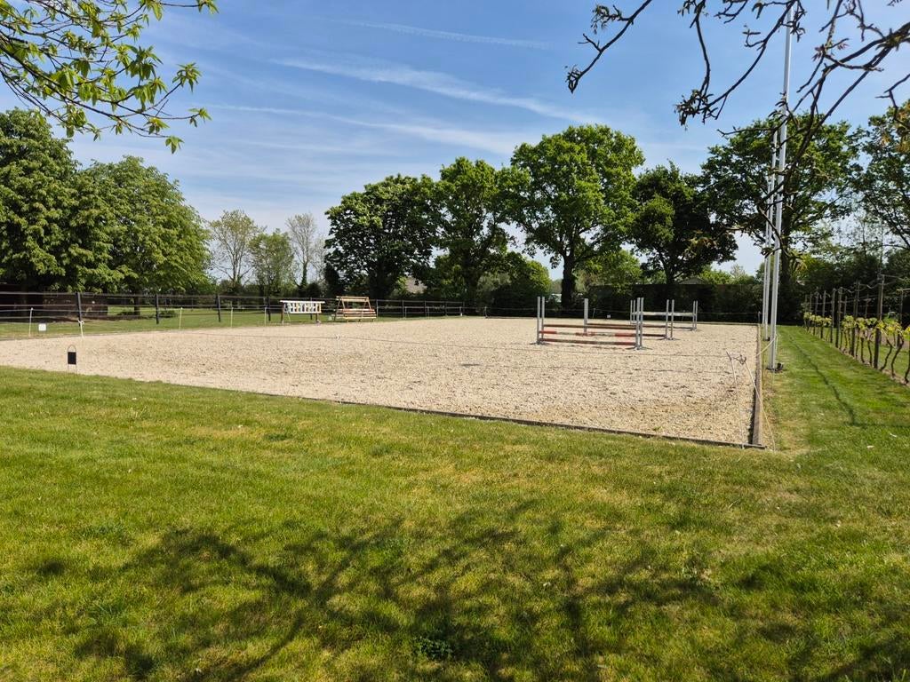 Box op rustige kleinschalige privestal met veel weidegang, Dieren en Toebehoren, Stalling en Weidegang, Weidegang