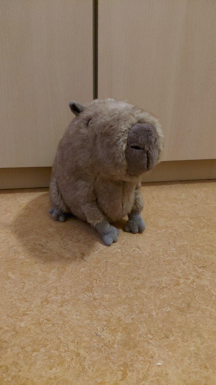 Jellycat clyde capybara, Kinderen en Baby's, Ophalen of Verzenden, Nieuw, Overige typen