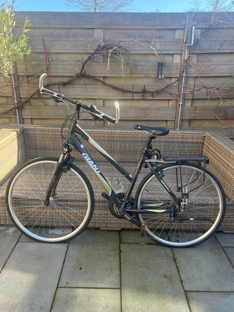 Giant Fiets - Goed Onderhouden, Ophalen, Gebruikt, Giant, 53 tot 57 cm