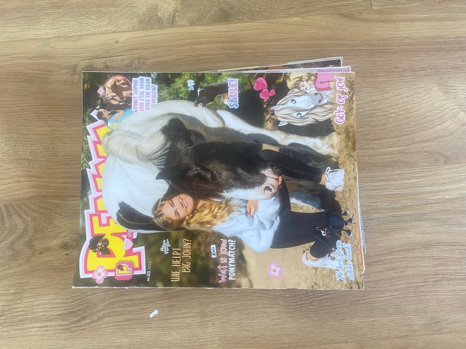 Paarden magazines - Penny - Diverse edities €1 p/s, Ophalen of Verzenden, Gelezen, Overige typen