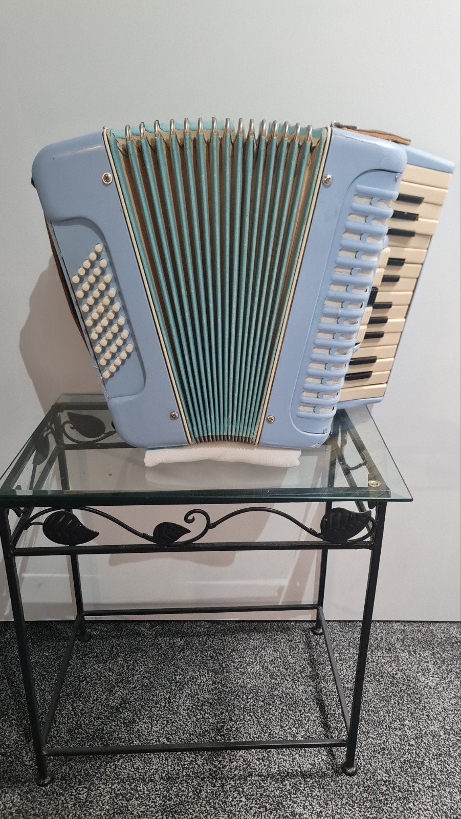 playback accordeon met het nieuwe systeem, Ophalen of Verzenden, Nieuw, Overige merken, Met riemen