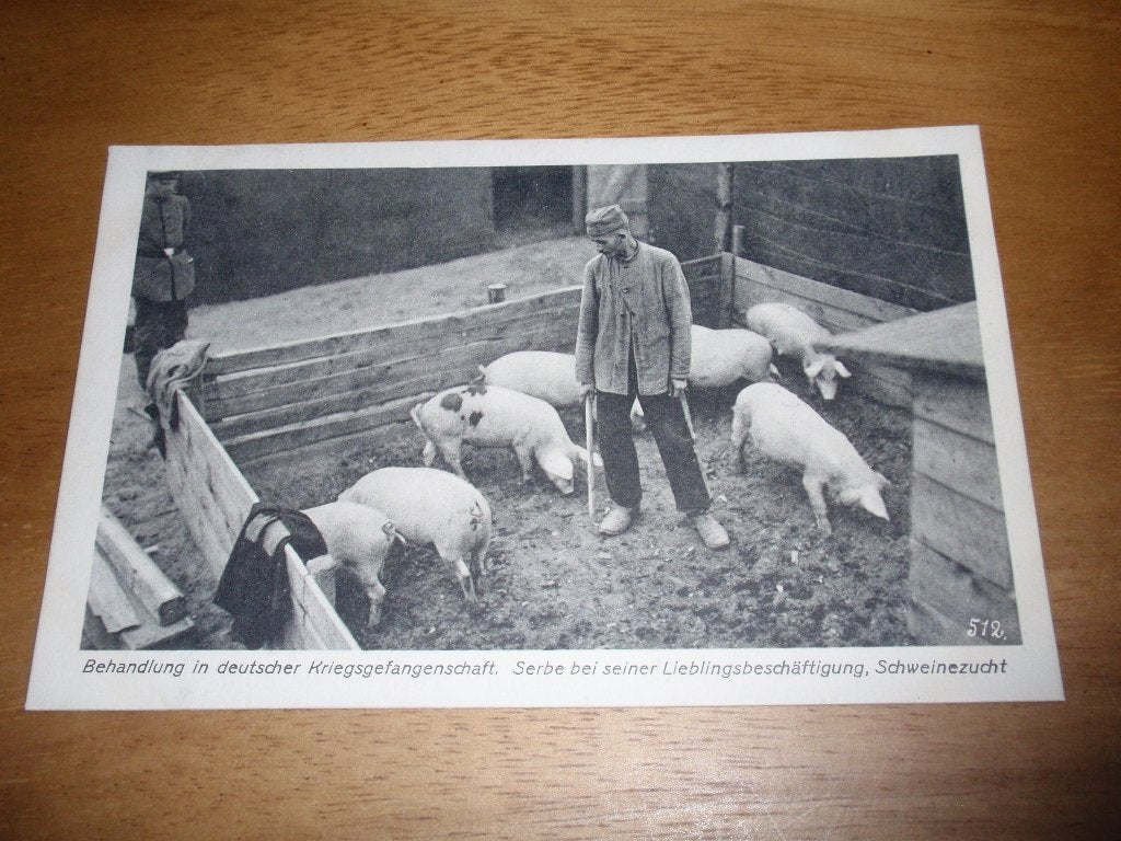 WO1 Duitsland Servische Krijgsgevangene verzorgt het varken, Verzenden, Voor 1920, Ongelopen, Politiek en Historie