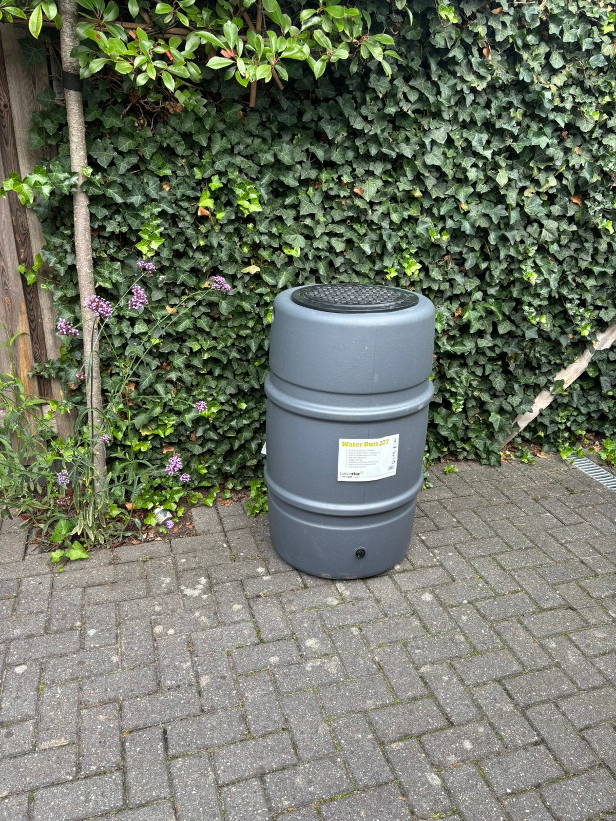 Kunstof regenton, 150 liter of meer, Ophalen, Nieuw, Kunststof