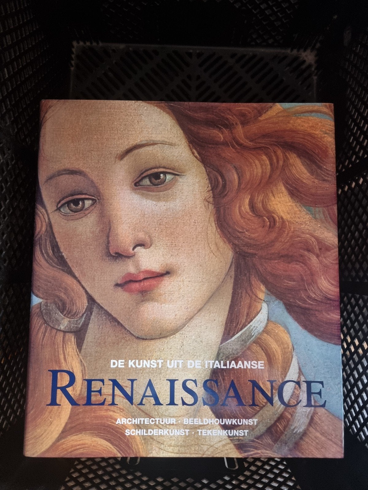 De Kunst uit de Italiaanse Renaissance Boek, Ophalen of Verzenden