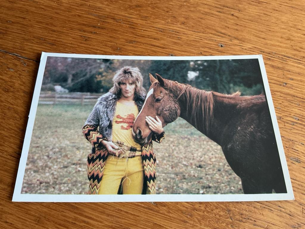 O208 Rod Stewart, Ophalen of Verzenden, Zo goed als nieuw, Foto of Kaart