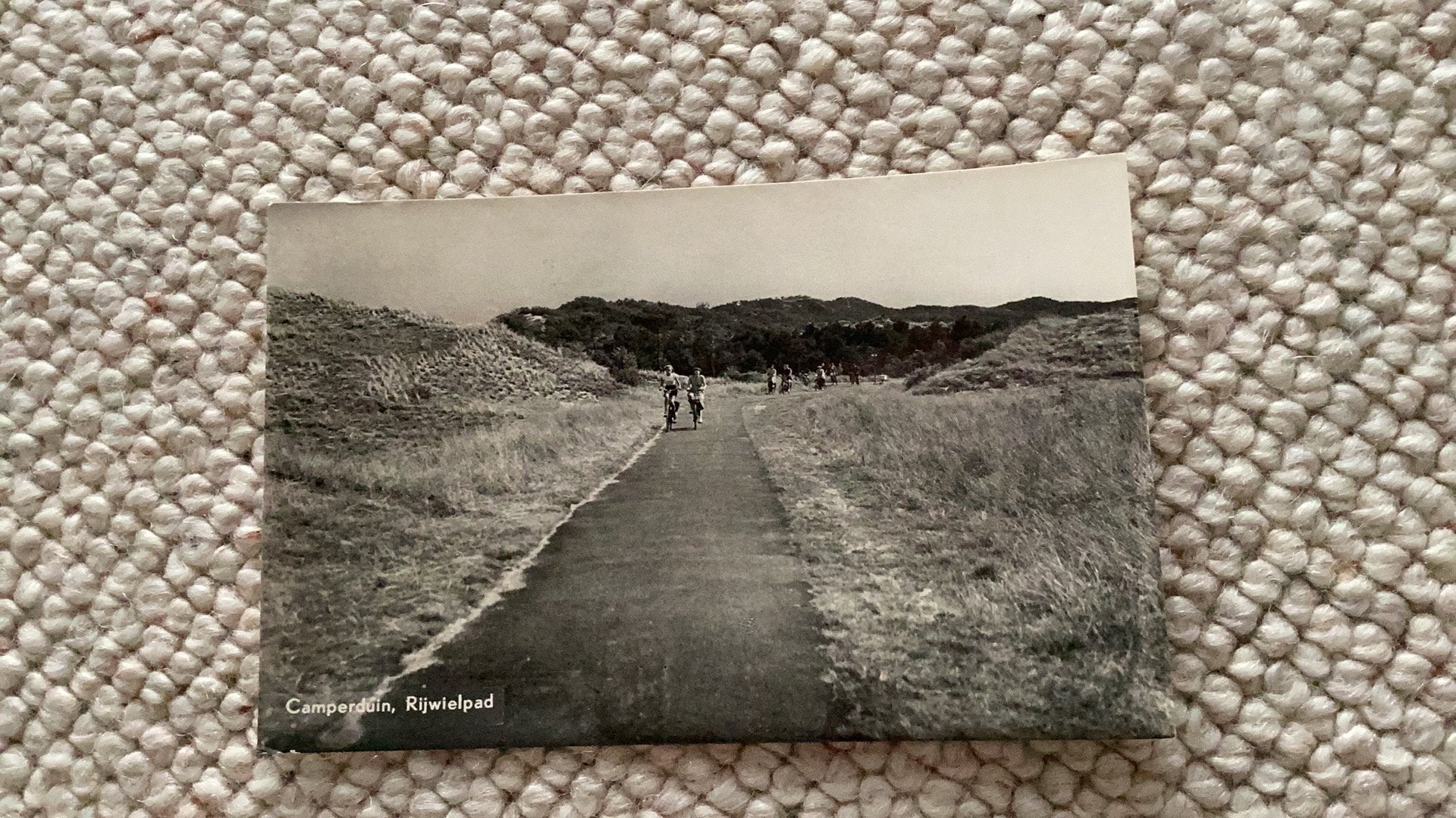 Ansichtkaart Camperduin Rijwielpad 1958. 982, Ophalen of Verzenden, 1940 tot 1960, Gelopen, Noord-Holland