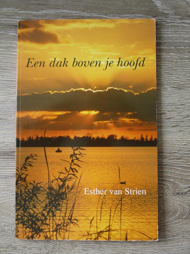 Een dak boven je hoofd - Esther van Strien, Ophalen of Verzenden, Gelezen