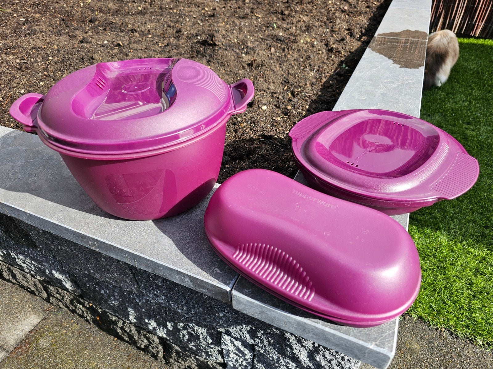 Tupperware Magnetron Set: Rijstkoker, Omelet Maker, Schaal, Paars, Overige typen, Nieuw, Ophalen of Verzenden