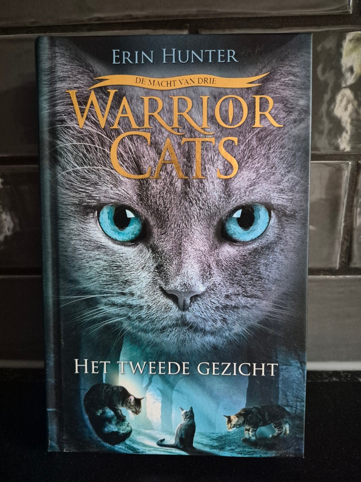 Warrior Cats: Het Tweede Gezicht - Erin Hunter, Ophalen of Verzenden, Gelezen, Erin Hunter, Fictie algemeen