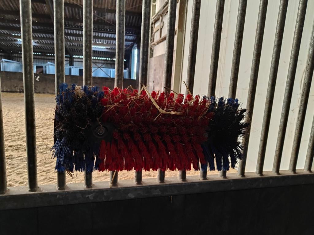 Vee / paarden borstel, Dieren en Toebehoren, Paarden en Pony's | Verzorgingsproducten, Ophalen of Verzenden