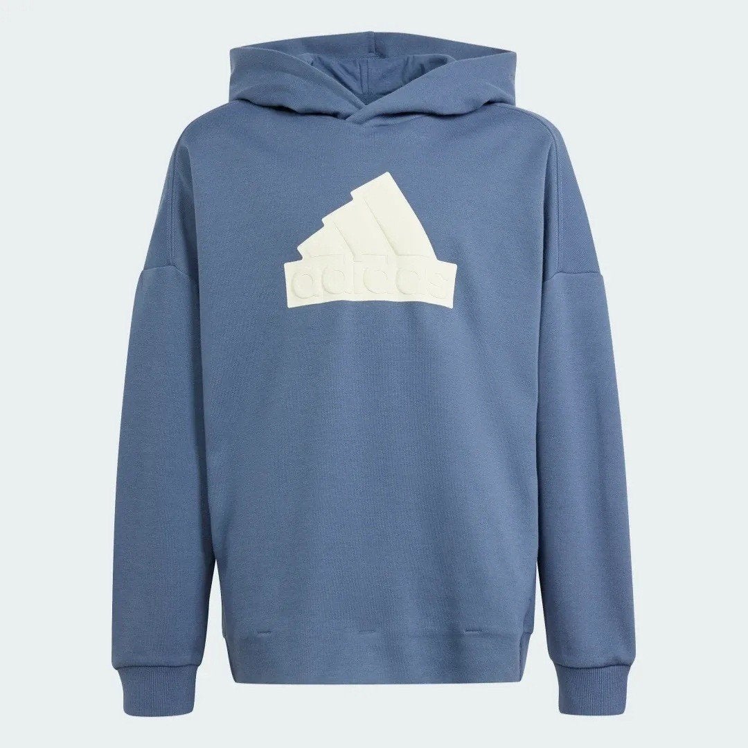 Adidas Hoodie Blauw met Groot Logo, Kleding | Heren, Truien en Vesten, Blauw, Ophalen of Verzenden, Zo goed als nieuw, Adidas