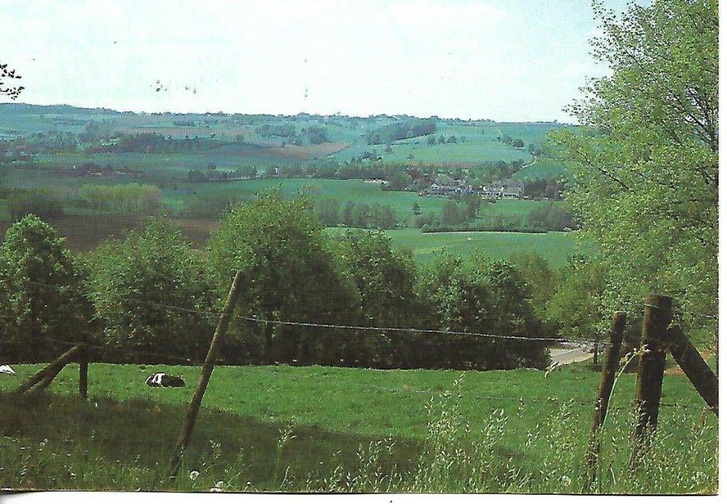Mechelen- -Panorama., Verzamelen, Ansichtkaarten | Nederland, Verzenden, 1980 tot heden, Gelopen, Limburg