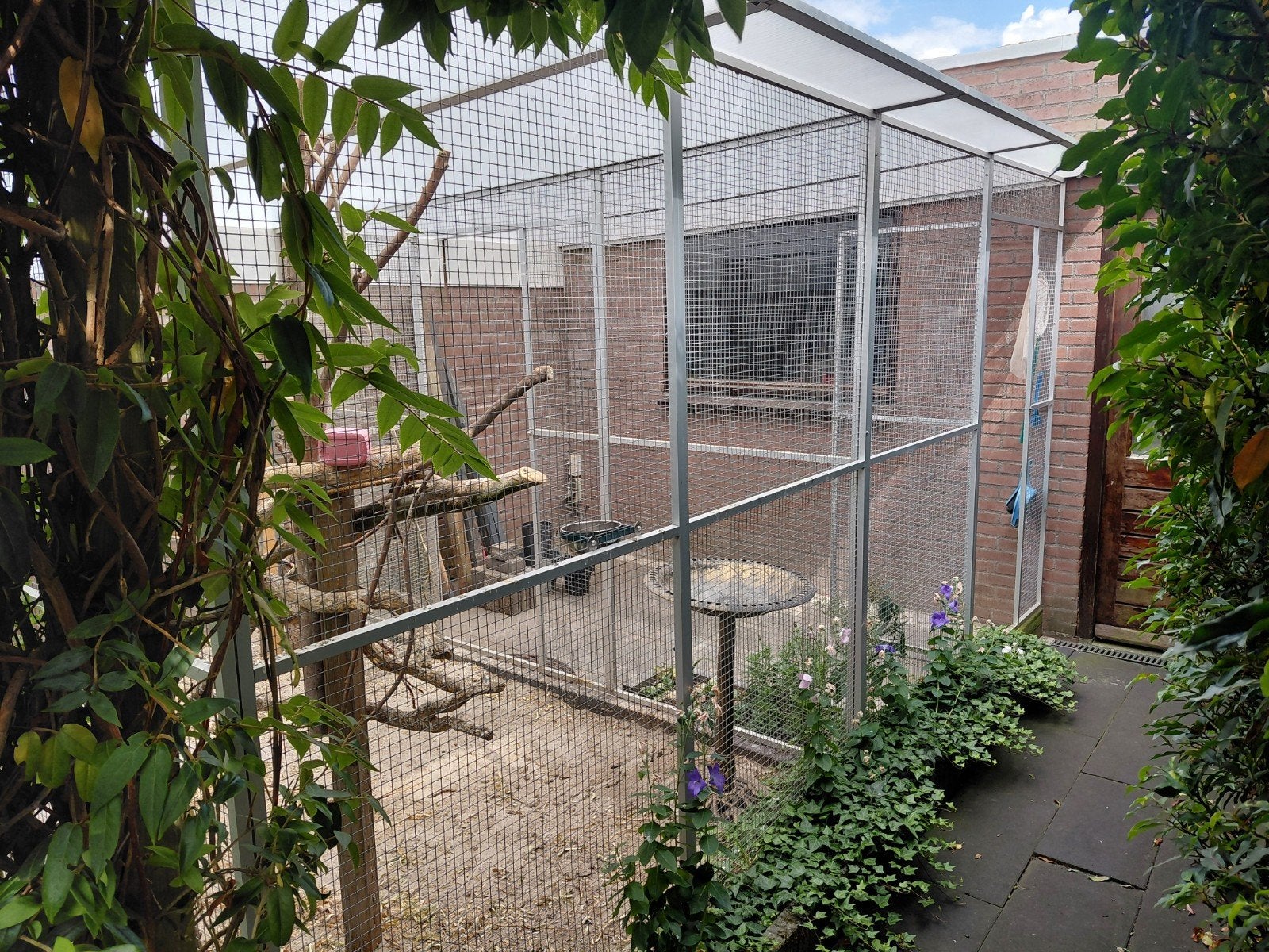 complete aluminium vollere, Ophalen, Zo goed als nieuw, Aluminium, Volière