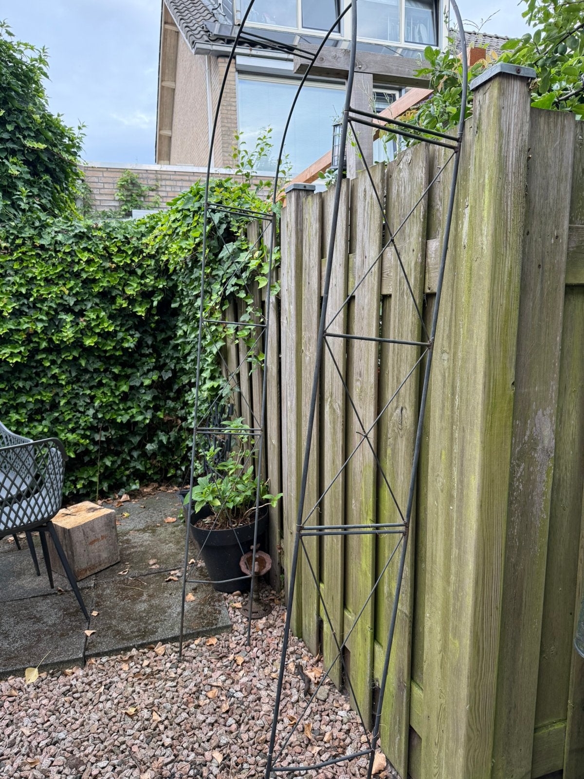 Metalen tuinboog pergola voor klimrozen of klimplanten Zwart, Ophalen, Bloeit niet, Halfschaduw, Overige soorten