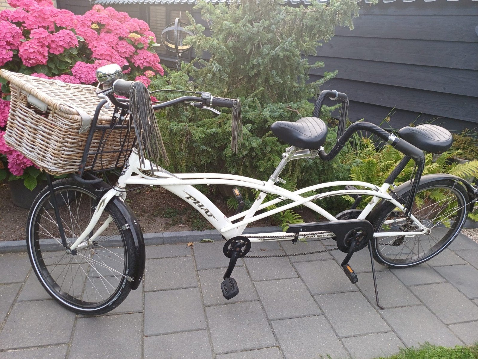 Phat Tandem Beach Cruiser, Fietsen en Brommers, Fietsen | Tandems, 55 cm of meer, Ophalen, Gebruikt, Minder dan 10 versnellingen