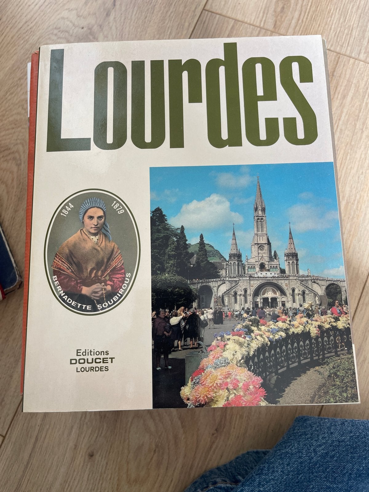 Lourdes: 160 Kleurengravures - Historisch Fotoboek, Ophalen of Verzenden, Gelezen, Christendom | Katholiek