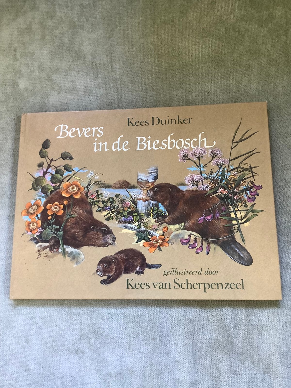 Bevers in de Biesbosch, Ophalen of Verzenden, Zo goed als nieuw