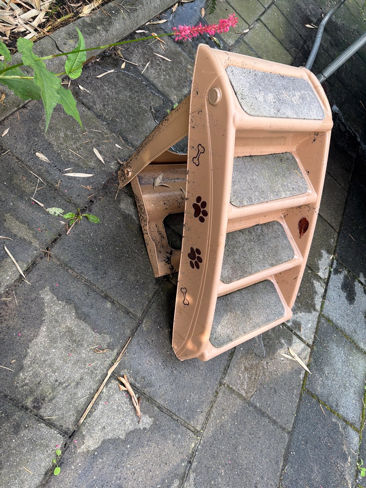 Gratis for dog, Dieren en Toebehoren, Ophalen