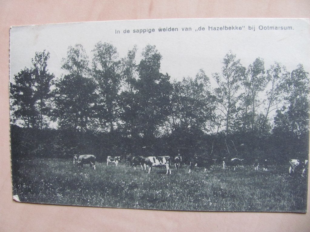 Ootmarsum 1925, Ophalen of Verzenden, 1920 tot 1940, Gelopen, Overijssel