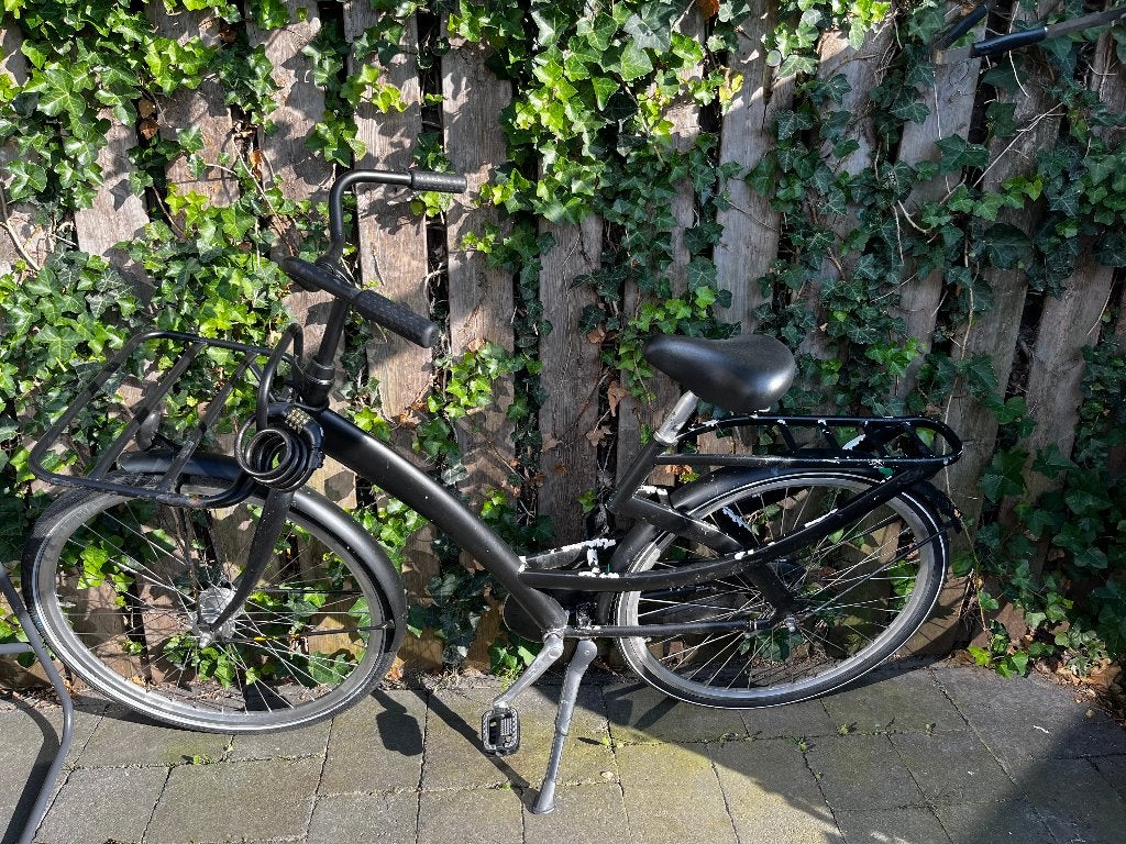 Women’s Bicycle – Pedal Brakes, Ophalen, Gebruikt, Terugtraprem, Overige merken