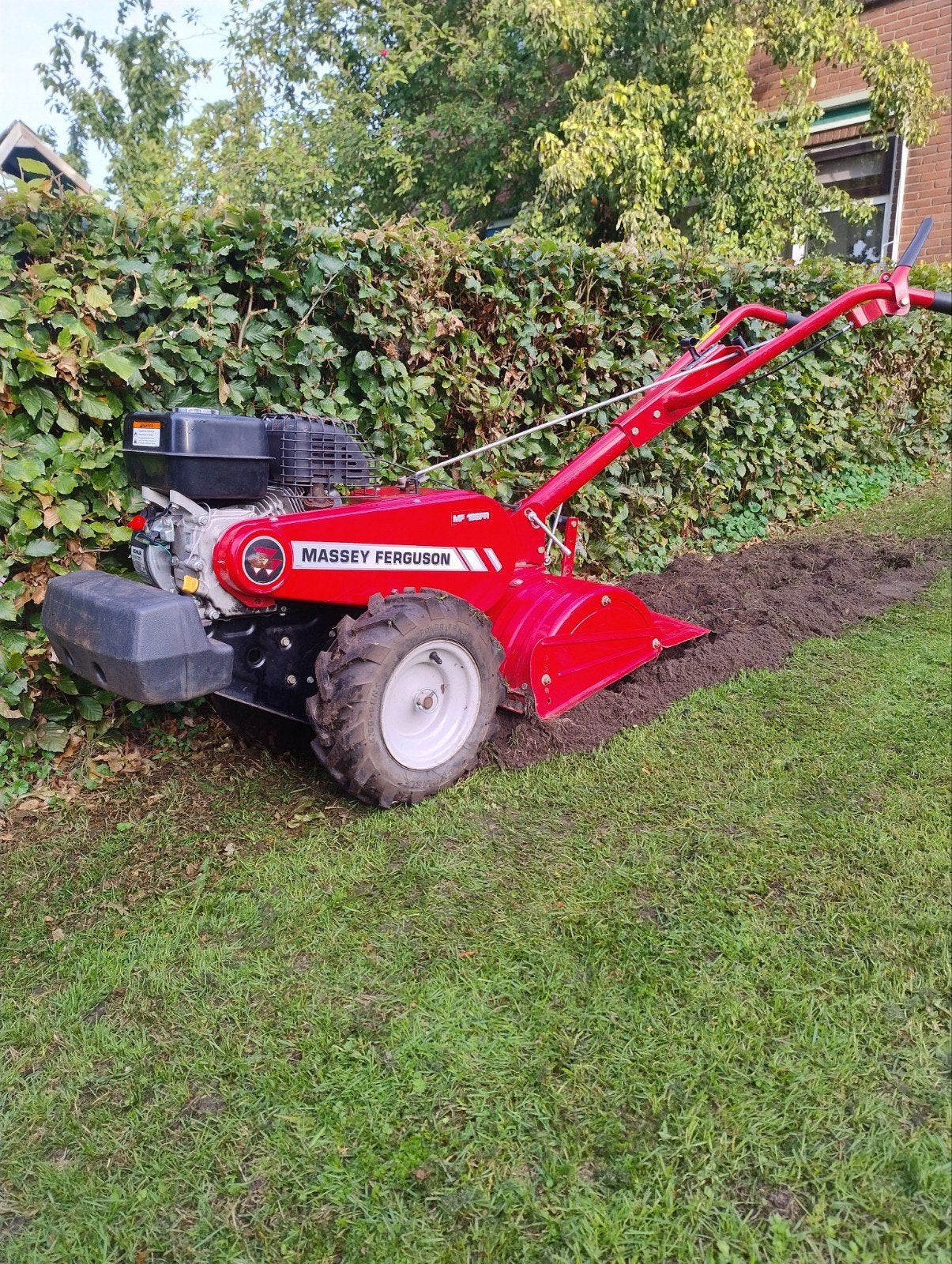 te huur: tuinfrees, Tuin en Terras, Ophalen of Verzenden