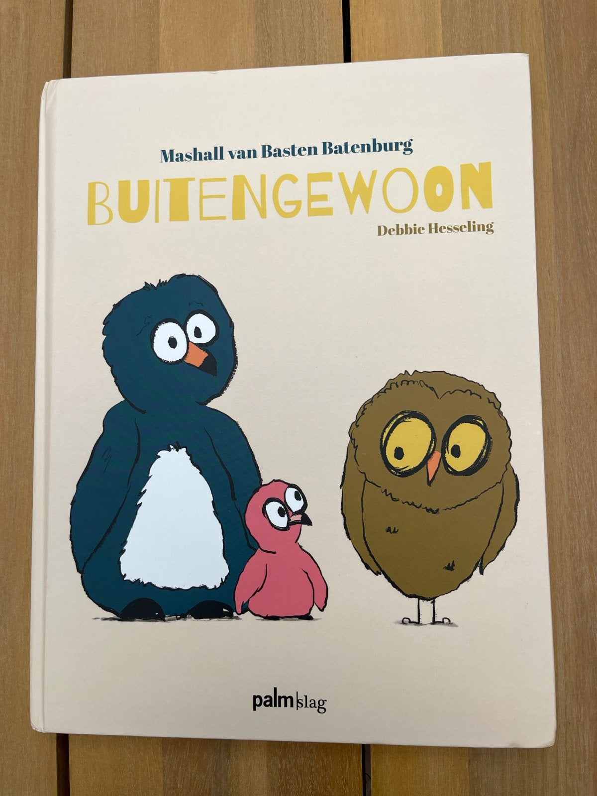 Buitengewoon, boek over 2 mamma’s, Ophalen of Verzenden, Gelezen, 2 tot 3 jaar