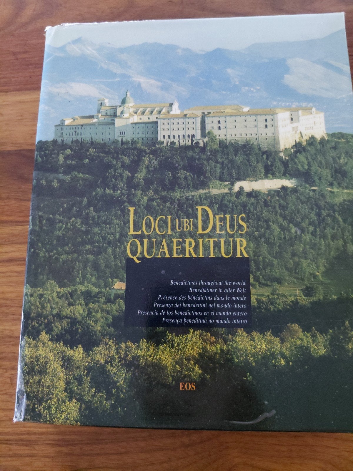 loci ubi Deus Quareritur, Ophalen of Verzenden, Gelezen