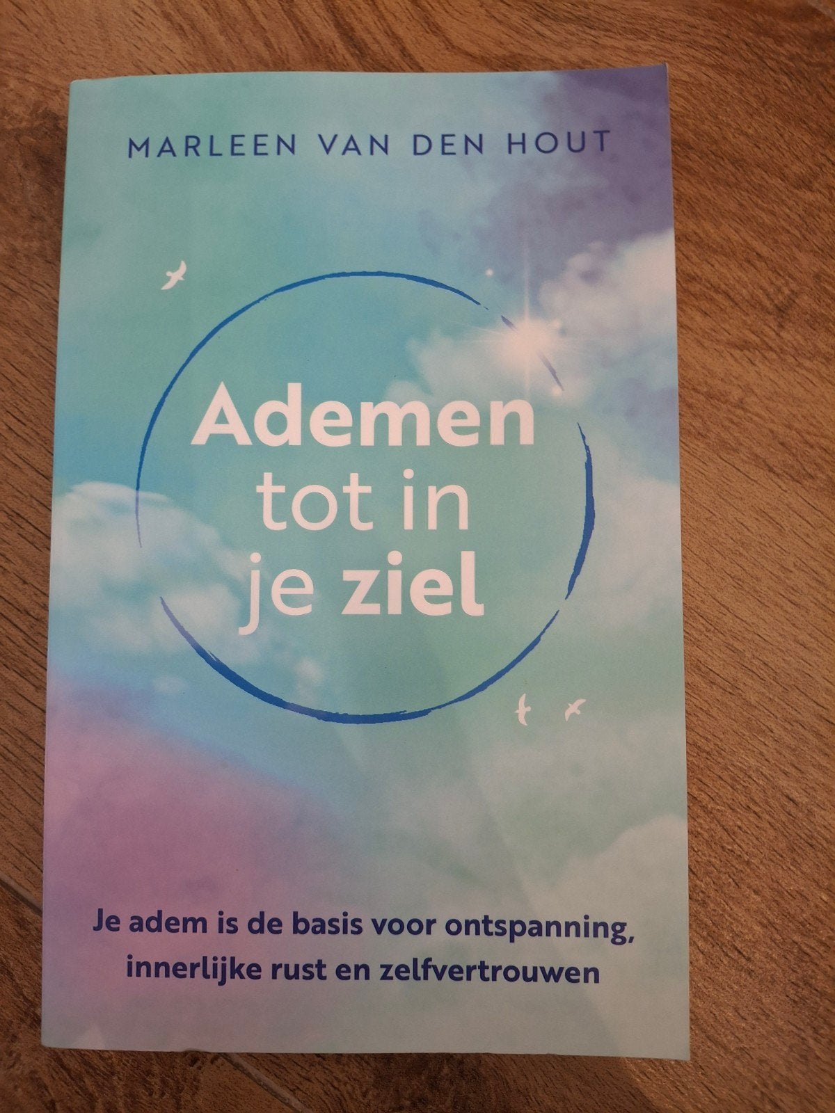 Marleen van den Hout - Ademen tot in je ziel, Ophalen of Verzenden, Zo goed als nieuw, Marleen van den Hout