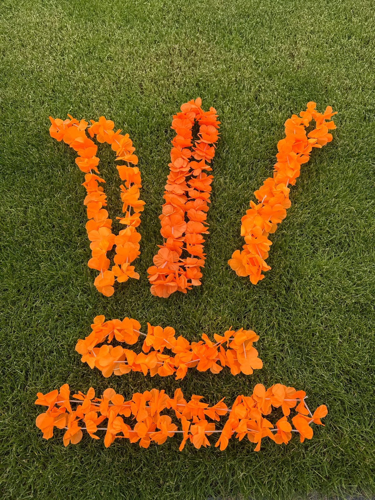 Oranje Bloemenketting, Ophalen, Zo goed als nieuw, Versiering, Oranje of Koningsdag
