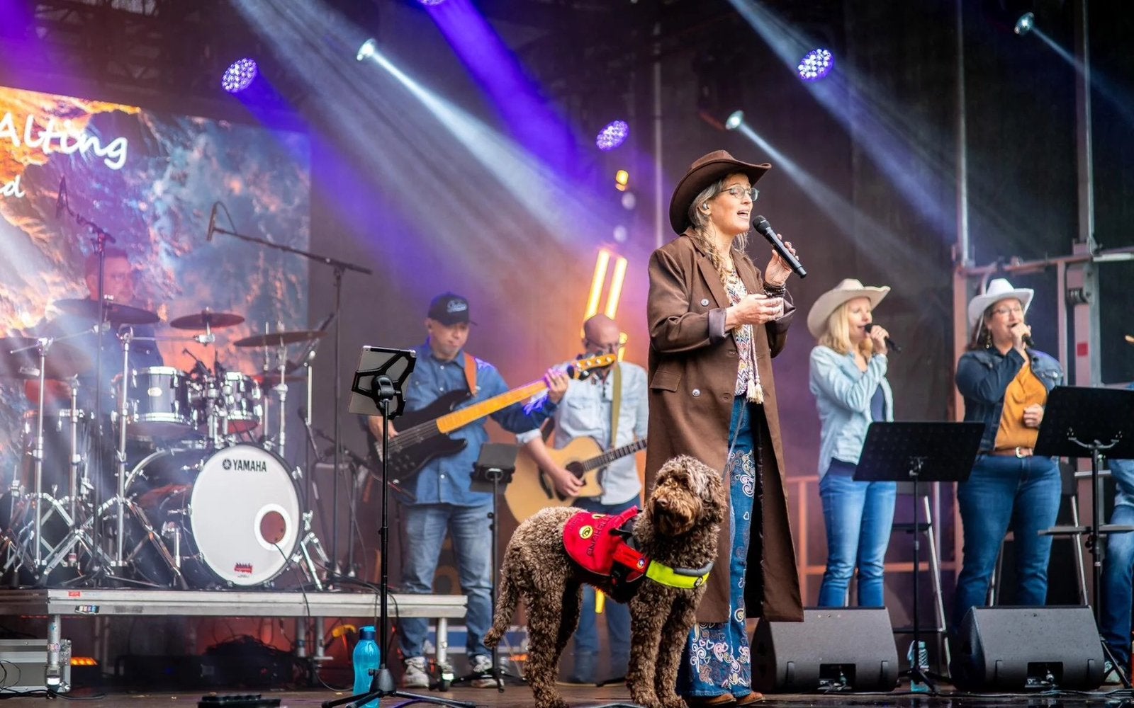 Zang fluit en piano les in Ter Apel (fysiek en online), Muziek en Instrumenten, Ophalen of Verzenden, Nieuw