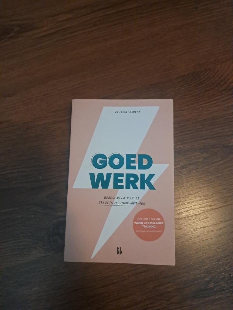 Goed Werk - Cynthia Schultz (Stuurjunkie), Ophalen of Verzenden, Zo goed als nieuw, Management, Cynthia Schultz