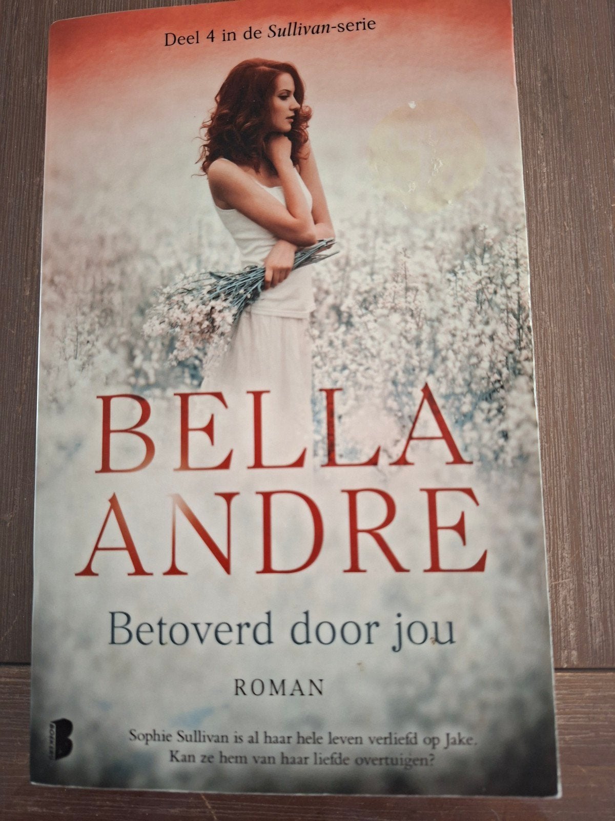 Bella Andre - Betoverd door jou, Boeken, Ophalen of Verzenden, Zo goed als nieuw, Bella Andre