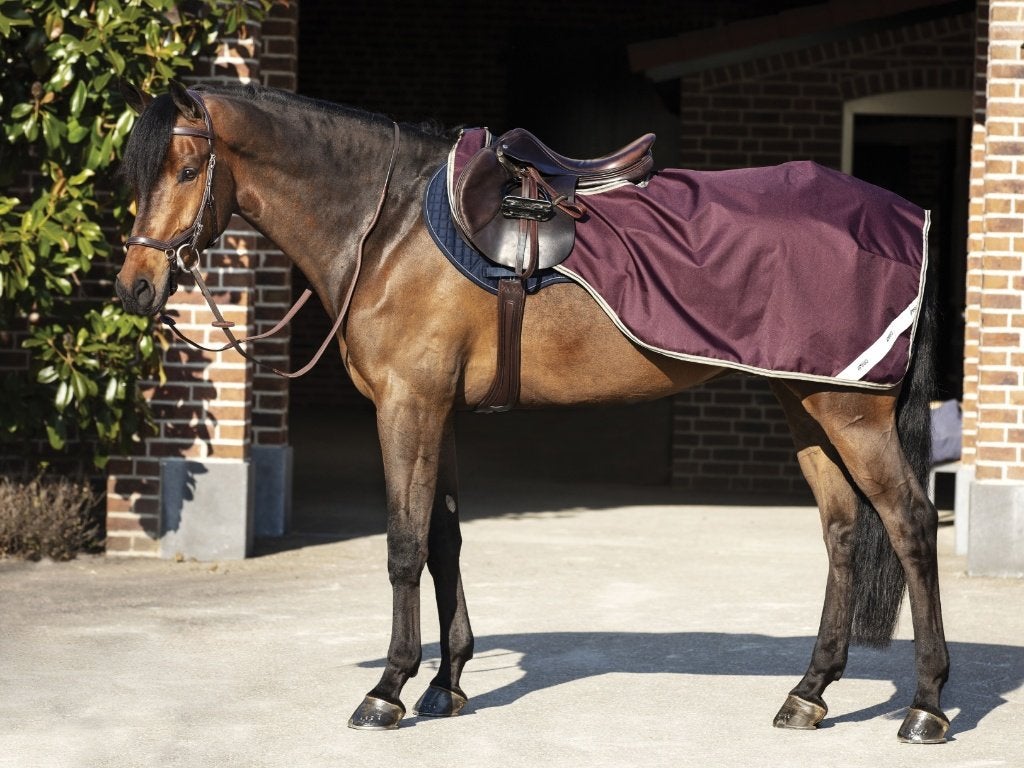 Amigo Ripstop Exercise Sheet Uitrijdeken, maat L en XL, Dieren en Toebehoren, Ophalen of Verzenden, Nieuw, Overige typen, Amigo