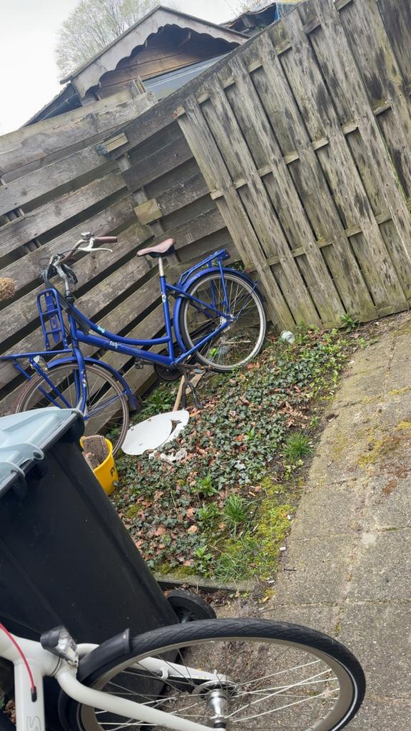 Damesfiets opknapper - Blauw, Ophalen, Gebruikt, Overige merken